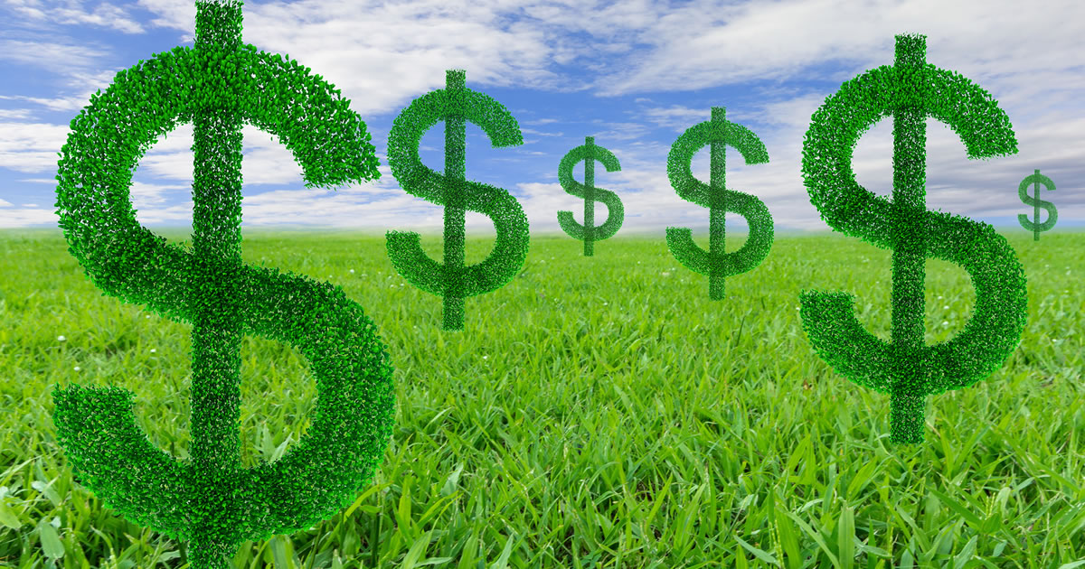 Multiple recurring dollar-symbol &ldquo;plants&rdquo; in grass field with blue sky