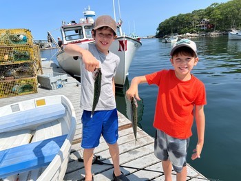 On a typical workday in Maine, Tom took the boys to a wharf near the family&rsquo;s Airbnb to fish.